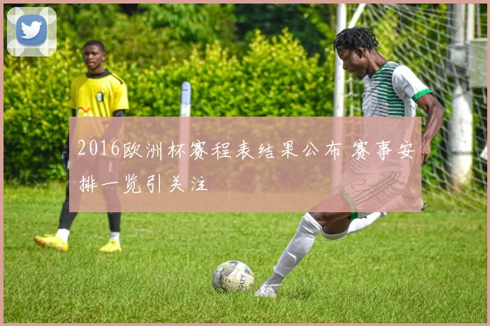 2016欧洲杯赛程表结果公布 赛事安排一览引关注
