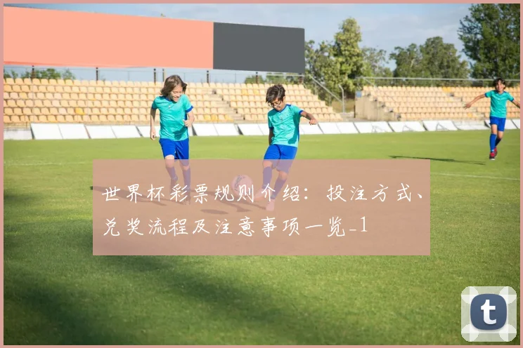 世界杯彩票规则介绍:投注方式、兑奖流程及注意事项一览_1